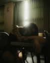 hikairi.1212 Altpins Profile Picture
