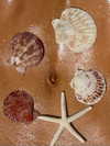gabbyepstein Altpins Profile Picture