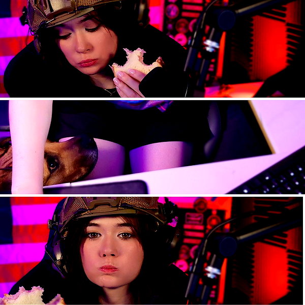 war_hamster6 instagram image archive image