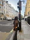 joycee.e Altpins Profile Picture