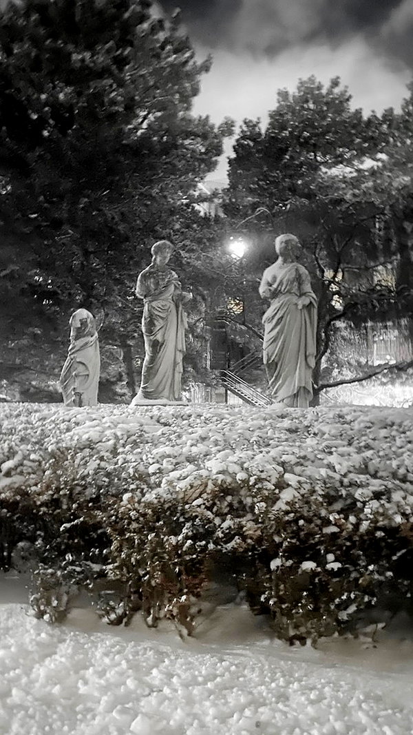 danvyee archive image
