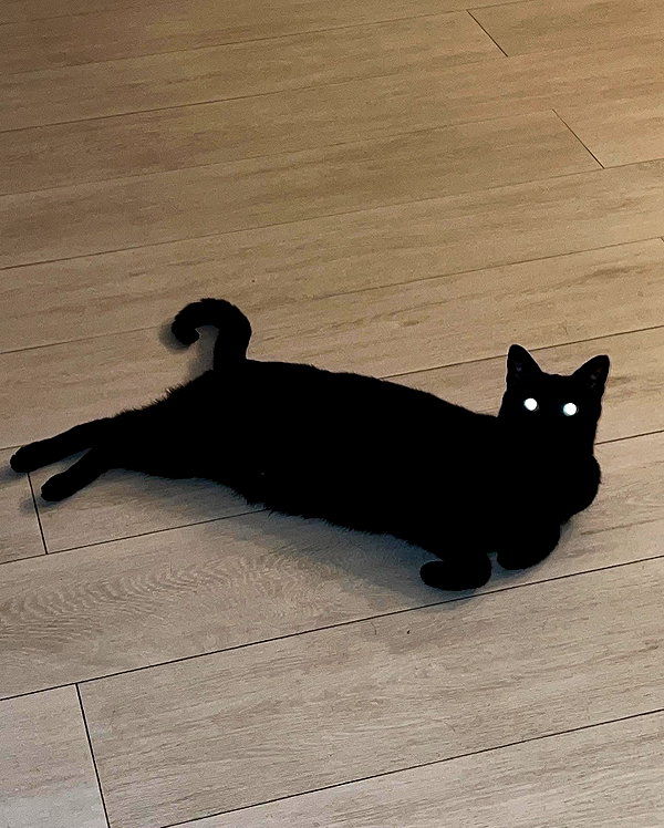 peachtoot.plz instagram image archive image