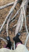 alien.hanna Altpins Profile Picture