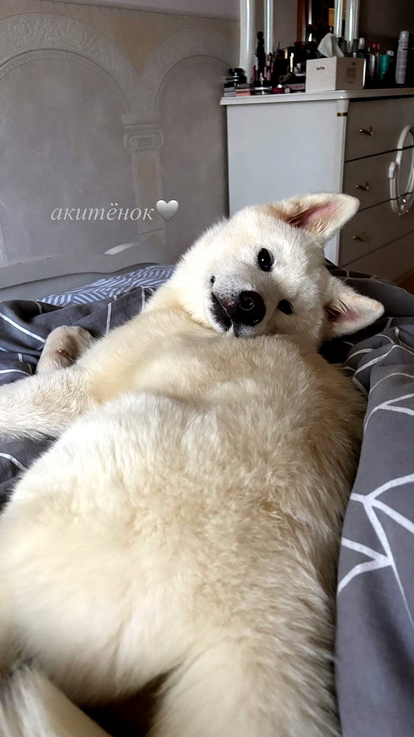kriskaik instagram image archive image
