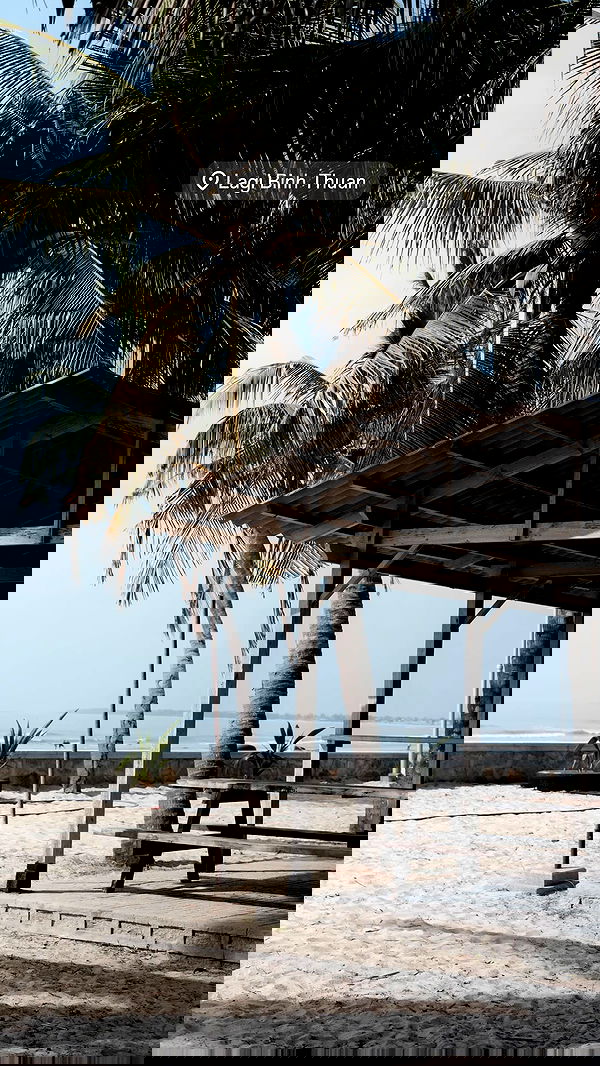 giangg._ giangg._ archive image