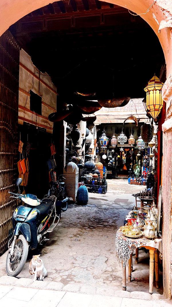 pia__kim archive image