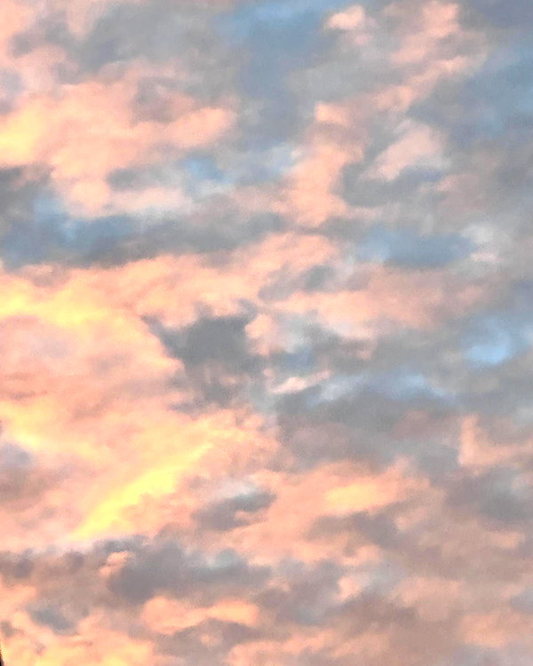 zuhazana instagram image archive image