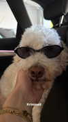 danamrts Altpins Profile Picture