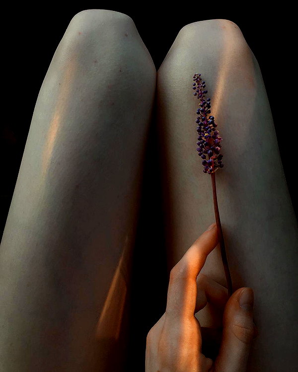 hallucineon instagram image archive image