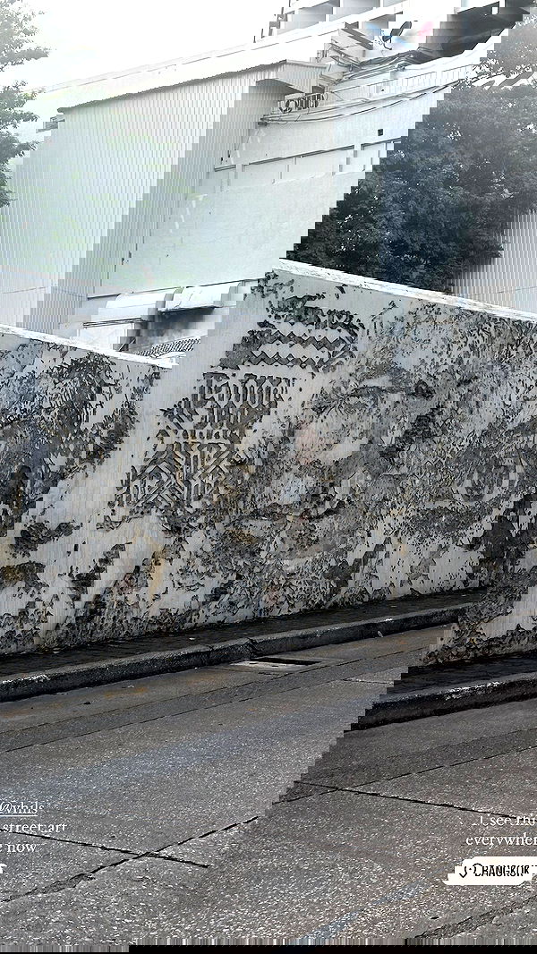 taylor.creeden taylor.creeden archive image