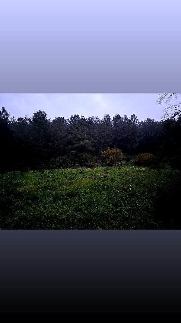 shaharo__._ instagram image archive image