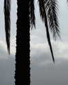 zaini.wiss Altpins Profile Picture