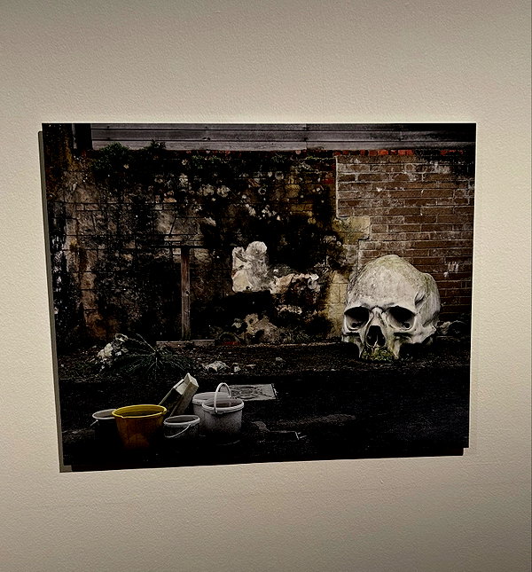 ayash.hila instagram image archive image