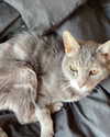 jahia_brown Altpins Profile Picture