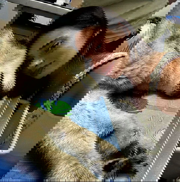 shir.davida6 shir.davida6 archive image