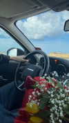 federica.piccinni Altpins Profile Picture
