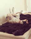 sashapieterse Altpins Profile Picture