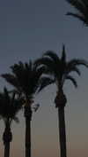 veroni22ka Altpins Profile Picture
