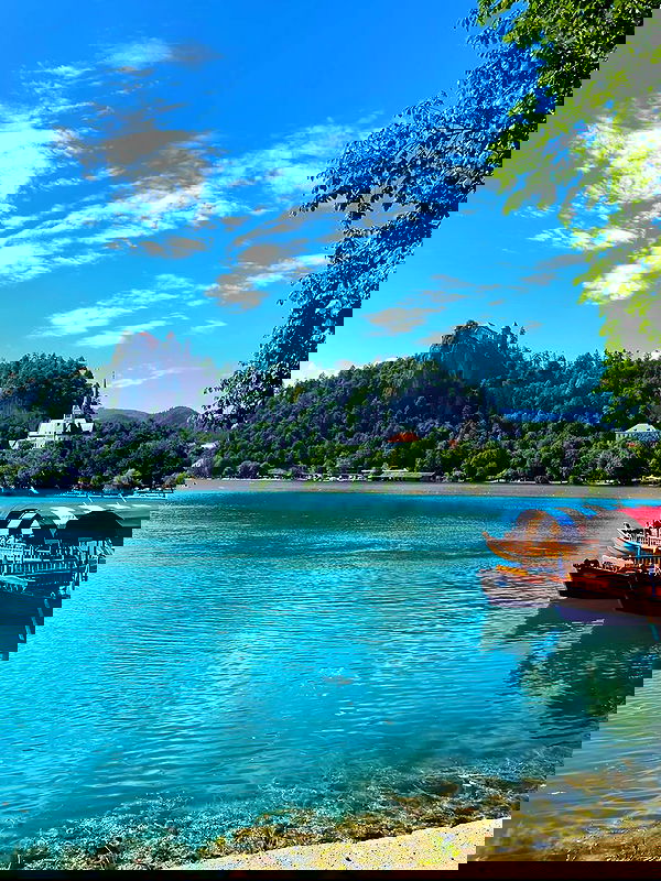 ellamwatts_ ellamwatts_ archive image