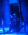 cannonstheband Altpins Profile Picture