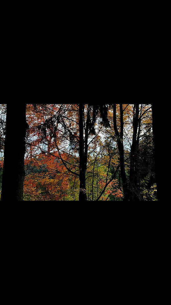 quincymood instagram image archive image
