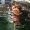 mariahcarey Altpins Profile Picture