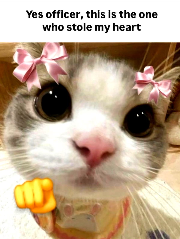 milkiwifey instagram image archive image