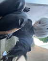 gothosm Altpins Profile Picture