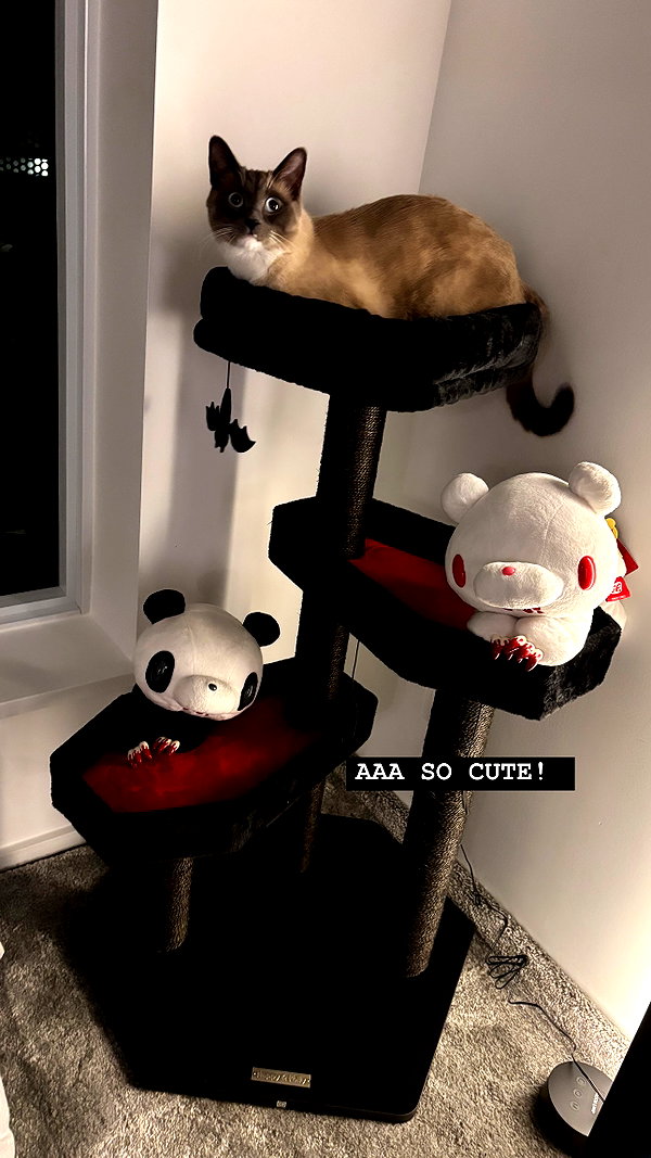 Archived image from @wuvkyu on Instagram