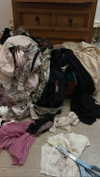 teakitten_ Altpins Profile Picture