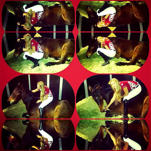 gigihadid instagram image archive image