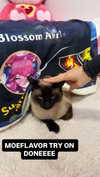 sugarcoatedkiss Altpins Profile Picture