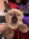 astalife.jpg Altpins Profile Picture