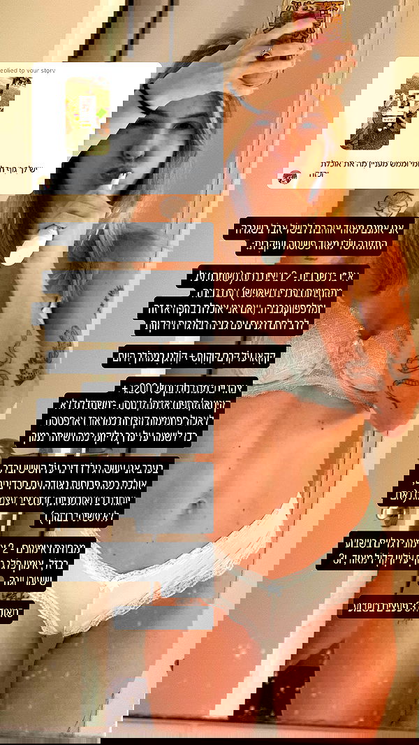 iambohema.v2 iambohema.v2 archive image