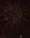 mishel_d_ Altpins Profile Picture