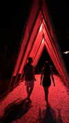 michalcohen___ Altpins Profile Picture