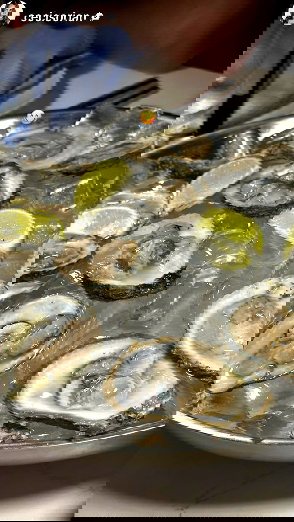 taylor.creeden taylor.creeden archive image