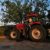 rikol_nohana Altpins Profile Picture
