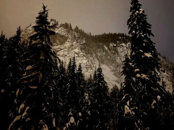 cialikechia instagram image archive image