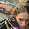alexconsani Altpins Profile Picture
