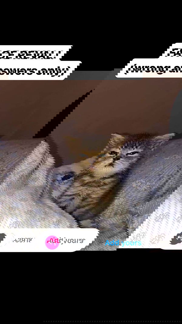 cyberbunniex cyberbunniex archive image