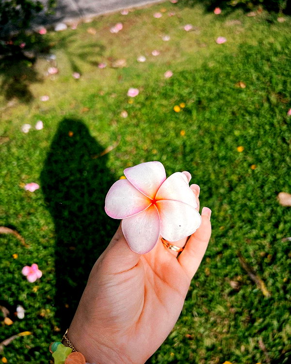 pokrov90 instagram image archive image