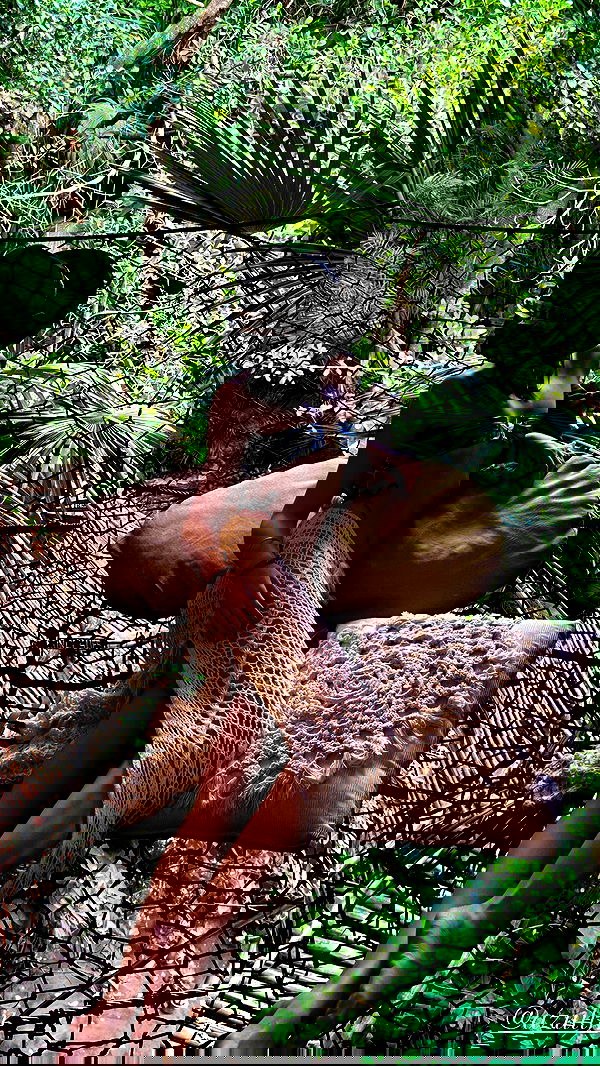 taylor.creeden taylor.creeden archive image