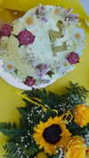 annabottoo Altpins Profile Picture