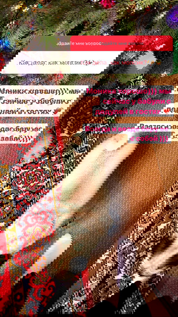 nyityam nyityam archive image