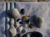 claudiacookgomez Altpins Profile Picture