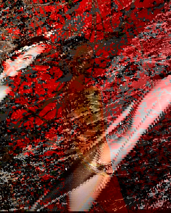 taylor.creeden taylor.creeden archive image