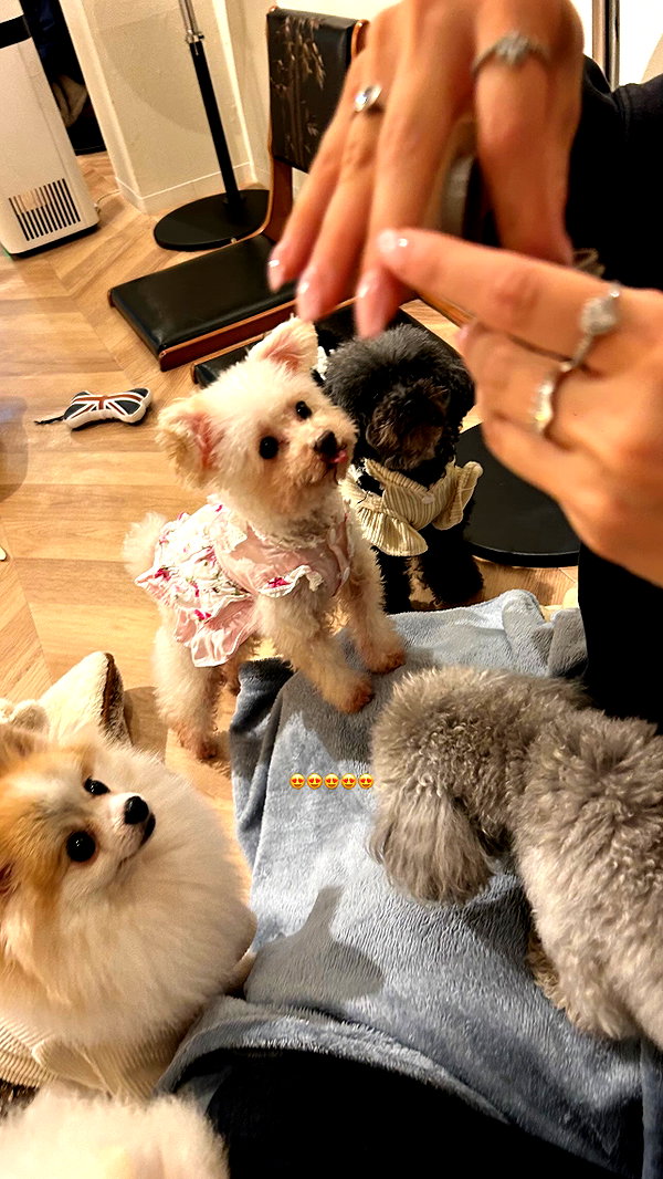 Archived image from @paula_valentina_gomez on Instagram