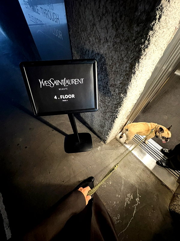 ninastodden instagram image archive image