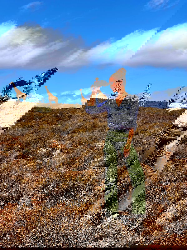 taylor.creeden taylor.creeden archive image